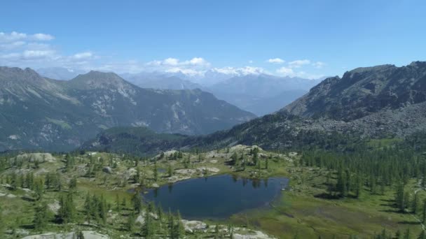 Avanzando Sopra Limpido Lago Azzurro Pinete Serata Estiva Day Europe — Video Stock