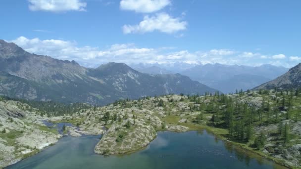 Geriye doğru açık mavi Gölü ve çam ormanları güneşli yaz günü içinde hareket. Avrupa İtalya Alps Valle daosta açık yeşil doğa scape dağlar yabani hava establisher.4k drone uçuş atış kurulması — Stok video