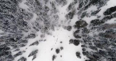 Ormanda orman ile karlı arazi üzerinde ek yükü dikey hava iletmek. Bulutlu kötü hava bulutlu. Kış Dolomites İtalyan Alpleri dağlar açık doğa establisher.4k drone uçuş atış kurulması