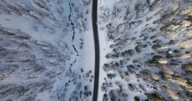 Ön ek yükü dikey hava road, falzarego pass ormanda karlı ormanı yukarıda. Gün batımı veya gündoğumu. Kış Dolomites İtalyan Alpleri dağlar açık doğa establisher.4k drone uçuş atış kurulması