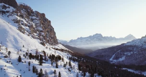 Framåt antenn till snöiga dalen med skog skog vid falzarego pass. Solnedgång eller soluppgång, klart sky. Vinter Dolomiterna italienska Alperna bergen utomhus natur establisher.4k drone flyg — Stockvideo