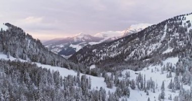 Yan hava Sella, ormanda orman ile karlı vadi geçmek. Gün batımı veya gündoğumu, bulutlu gökyüzü. Kış Dolomites İtalyan Alpleri dağlar açık doğa establisher.4k drone uçuş