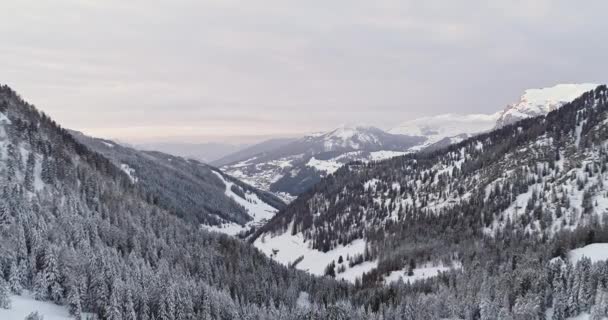 Sella 우즈 숲과 눈 덮인 계곡 뒤로 공중 전달 합니다. 일몰 또는 일출, 흐린 하늘입니다. 겨울 Dolomites 이탈리아 알프스 산 야외 자연 establisher.4k 무인 항공기 비행 — 비디오