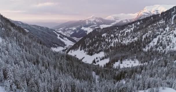 Sella pass.Sunset 또는 sunset 에서 숲 숲 과 함께 눈덮인 계곡을 향해 공중으로 전진 한다 . Sunset 또는 일출, 흐린 하늘 . Winter Dolomites Italian Alves outside nature estaber.4k drone flight — 비디오