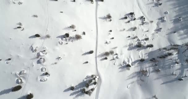 Înainte aeriene verticale deasupra terenului de zăpadă cu copaci de-a lungul traseului. Zi însorit.Dolomiți de iarnă Alpii italieni munți în aer liber natura stabilit.4k zbor drone stabilind împușcat — Videoclip de stoc