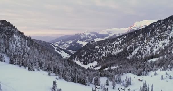 Avião para frente para o vale nevado com floresta de bosques em Sella pass.Sunset ou nascer do sol, céu nublado.Dolomitas de inverno Alpes italianos montanhas natureza ao ar livre establishment .4k voo drone — Vídeo de Stock