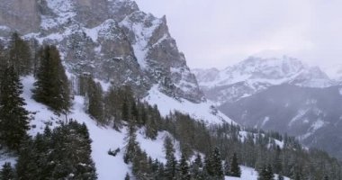 İleri Hava karlı dağ ile ormanda orman üzerinde. Bulutlu kötü sisli hava bulutlu. Kış Dolomites İtalyan Alpleri dağlar açık doğa establisher.4k drone uçuş atış kurulması