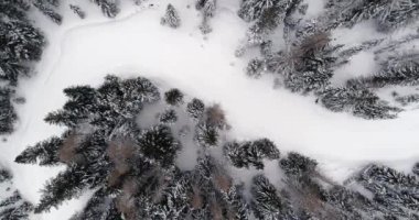 Yan ek yükü dikey Hava karlı iz yolu ile ormanda orman yukarıda. Bulutlu kötü hava. Kış Dolomites İtalyan Alpleri dağlar açık doğa establisher.4k drone uçuş atış kurulması