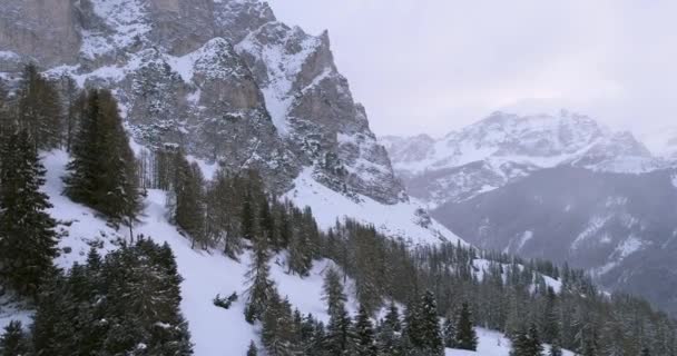 Передняя лестница над лесным лесом со снежными горами. Облачно-плохая пасмурная погода. Зимние Доломиты Итальянские Альпы — стоковое видео