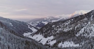 Sella, ormanda orman ile karlı vadi için geriye dönük havadan geçmek. Gün batımı veya gündoğumu, bulutlu gökyüzü. Kış Dolomites İtalyan Alpleri dağlar açık doğa establisher.4k drone uçuş