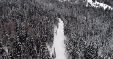 Ön ek yükü dikey Hava karlı iz uzun yol ormanda orman ile yukarıda. Bulutlu kötü hava. Kış Dolomites İtalyan Alpleri dağlar açık doğa establisher.4k drone uçuş atış kurulması.