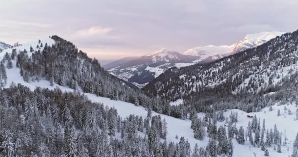 Sella pass.Sunset 또는 sunset 에서 숲 숲 과 함께 눈덮인 계곡을 향해 공중으로 전진 한다 . Sunset 또는 일출, 흐린 하늘 . Winter Dolomites Italian Alves outside nature estaber.4k drone flight — 비디오