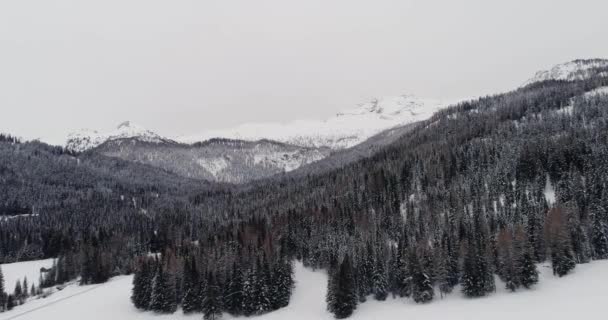 雪の山と森の中の森の上前方空中。曇り曇り霧悪天候。冬ドロミテ イタリア アルプス山脈屋外の自然 establisher.4k 無人飛行エスタブリッシング ・ ショット — ストック動画