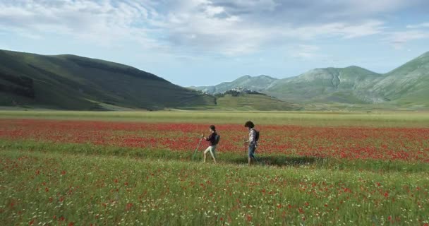 Vista aérea volando sobre dos personas pareja senderismo o nordic caminar al aire libre en un sendero cerca de los campos de flores en Castelluccio di Norcia.Aproximándose hacia adelante. Viaje italiano de amigos en Umbria.4k drone — Vídeos de Stock