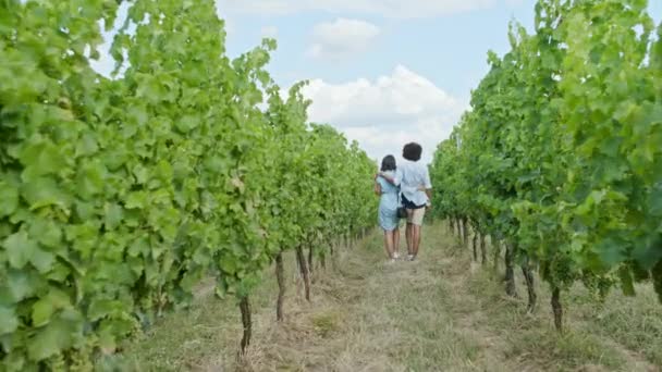 Pareja romántica caminando a través de viñedos verdes. Volver seguir amplia shot.Friends viaje italiano en Umbria.4k cámara lenta — Vídeos de Stock