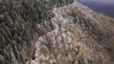 beyaz karlı ağaçlar anten yakınında sürüş araba ile kavisli yol. Kış drone uçuş kurulan buz don kaplı ağaçlar ile sisli dağ ormanı.