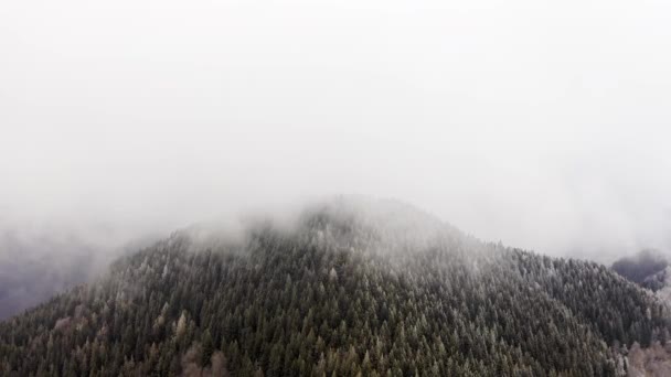 Karlı çam ormanları bulutlu kötü havalarda tepe hava monte. Kış drone uçuş kurulan buz don kaplı ağaçlar ile sisli dağ ormanı. — Stok video