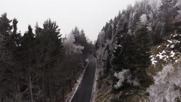 Estrada curva perto de árvores brancas nevadas aéreas por gama de montagem. Floresta de montanha nebulosa com geada de gelo coberto de árvores no inverno drone criador de voos . — Vídeo de Stock