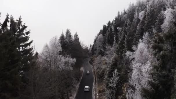 白い雪の木の近くを運転する車とカーブした道路。冬のドローン飛行確立者で氷の霜が木に覆われた霧の山林. — ストック動画