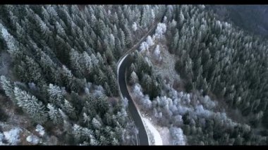 Bulutlu kötü havalarda karlı çam ormanları yakın yol ileri hava. Kış drone uçuş kurulan buz don kaplı ağaçlar ile sisli dağ ormanı.