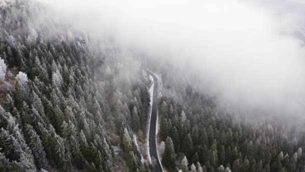 Carretera cerca de bosques de pinos nevados hacia adelante aérea en mal tiempo nublado. Bosque de montaña brumoso con hielo árboles cubiertos de heladas en el vuelo de drones de invierno Establecidor . — Vídeos de Stock
