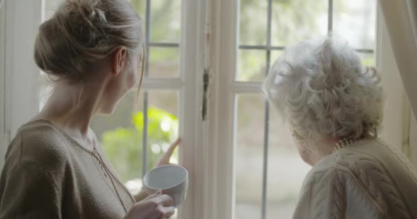 Багатоядерні жінки розмовляють разом. Старша бабуся посміхається зі своєю онукою, відвідуючи біля вікна п'є чай або каву. — стокове відео