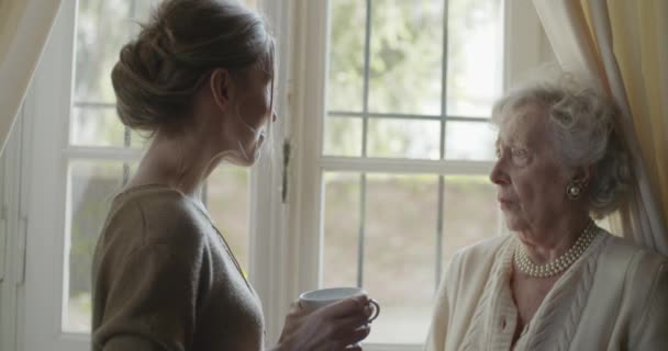 Multi generatie vrouwen houden van knuffelen samen. Senior oma vrouw blij met haar kleindochter of jonge vriend in de buurt van venster. Witte haren ouderen grootmoeder thuis. Genegenheid, saamhorigheid. 4k Slow Motion — Stockvideo