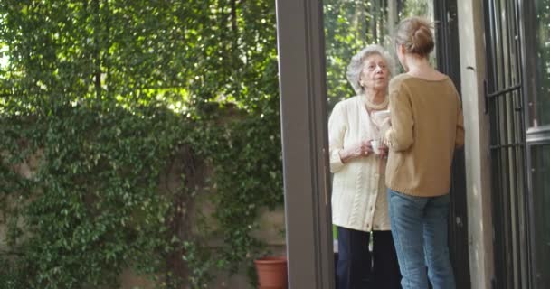 Mujeres multigeneracionales hablando juntas. Abuela anciana sonriendo con su nieta o joven amiga cerca de la ventana del jardín bebiendo té o café.Abuela anciana de pelo blanco en casa.Cámara lenta — Vídeo de stock