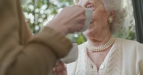 Багатоядерні жінки розмовляють разом. Старша бабуся посміхається зі своєю онукою або молодим другом біля садового вікна п'є чай або каву. — стокове відео