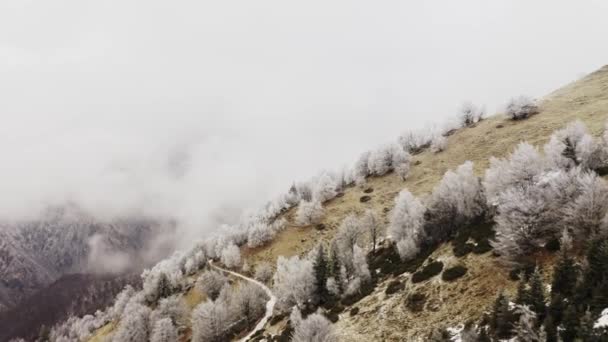 Witte besneeuwde bomen berg stijgen bewolkte antenne. Foggy Mount forest met ijs Frost bedekt bomen in de winter drone vlucht aanmaker. — Stockvideo