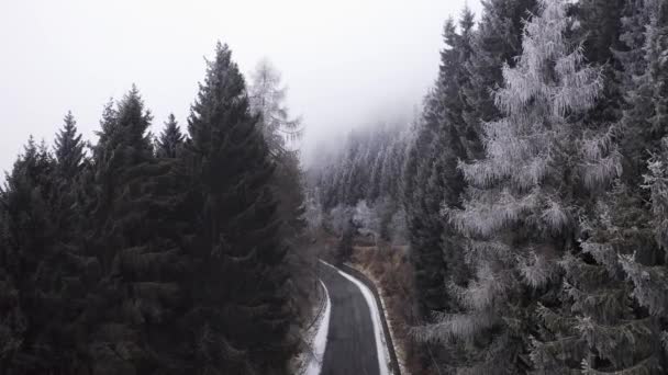 弯曲的道路附近的白色雪树天线的安装范围。冬季无人机飞行建立者中，有冰霜覆盖树木的雾山森林. — 图库视频影像