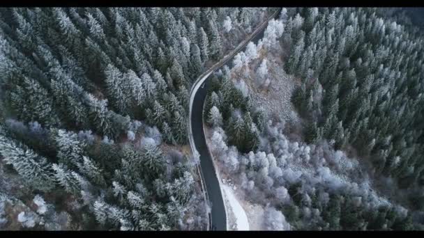 Böjd väg med bilkörning nära vita snöiga träd antenn. Dimmig fjäll skog med is Frost täckta träd på vintern Drone Flight Ashuras. — Stockvideo