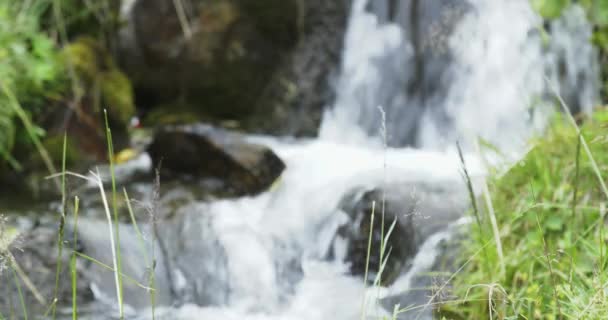 緑の牧草地の近くの小さな山の滝の詳細。水川小川とアルプスの自然の詳細。フォーカスラック — ストック動画