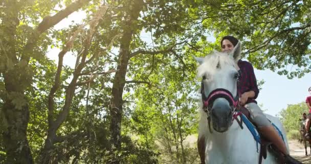 Τέσσερις ενεργοί άνθρωποι ιππεύοντας άλογα σε ένα ηλιόλουστο υπαίθριο άγριο δασικό πεδίο. Φίλοι ιταλικό ταξίδι στην Ούμπρια. 4K αργή κίνηση — Αρχείο Βίντεο
