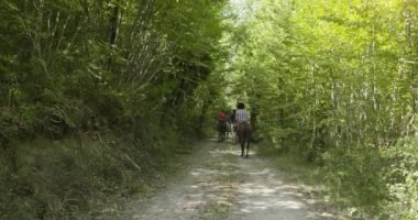 Güneşli bir açık orman tarlasında ata binen dört aktif insan. Umbria.4k yavaş hareket Arkadaşlar İtalyan gezisi
