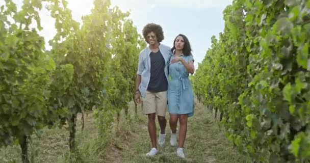 Romantik aşk çifti, kadın ve erkek gün batımında ya da gündoğumunda üzüm bağının yanında yürüyor ve gülümsüyor. Ilık güneş geri geliyor. Umbria .3k 'te arkadaşlarla İtalyan gezisi. — Stok video