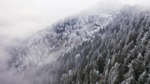 Árboles blancos nevados montaña subida aérea nublada. Bosque de monte brumoso con hielo árboles cubiertos de heladas en Establecimiento de vuelo de drones de invierno . — Vídeos de Stock