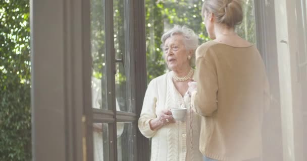 Multigeneration kvinnor pratar tillsammans. Senior mormor kvinna leende med hennes barnbarn eller ung vän nära trädgården fönster dricka te eller kaffe. Vita hår äldre mormor hemma. Slow motion — Stockvideo