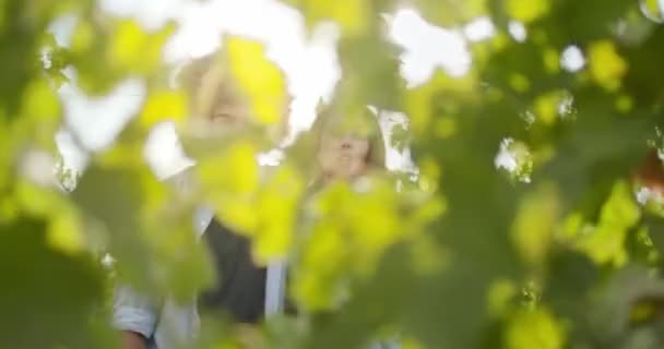 Romántica pareja de amor, hombre y mujer sonriendo y caminando mirando a través de plantas cerca de viñedo al atardecer o al amanecer con sol retroiluminado.Cálida luz del sol.Amigos viaje italiano en Umbría.4k cámara lenta — Vídeos de Stock