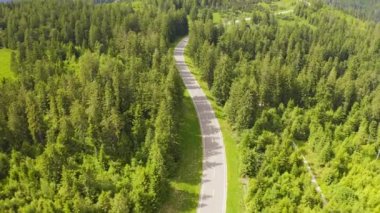 Havadan görünümü her iki tarafta büyüyen ormanın yeşil ağaçları hareket eden araba ile iki şeritli orman yolu üzerinde uçan. Orman yolunda araba sürüyor. anten:çam ormanında araba sürer. Almanya kara orman anteni