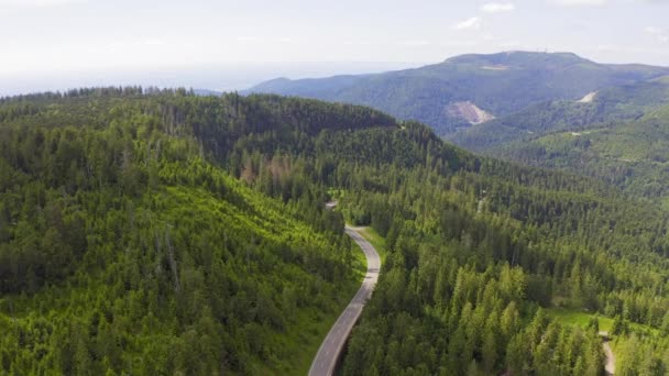 Vista aérea volando sobre el camino forestal de dos carriles con el coche moviendo árboles verdes de bosques que crecen a ambos lados. Coche conduciendo por la carretera forestal. aéreo: coche que conduce a través de bosque de pinos. Alemania bosque negro aéreo — Vídeo de stock