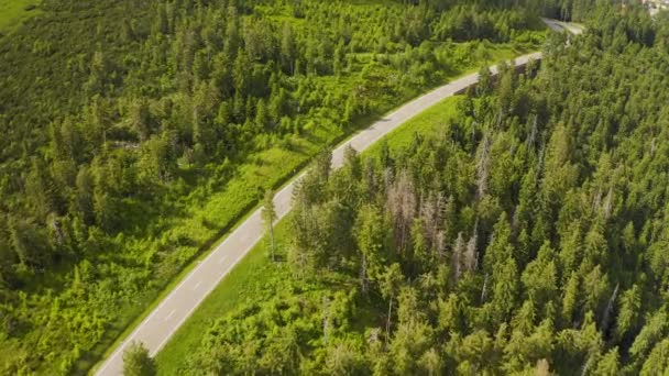 Vista aérea volando sobre el camino forestal de dos carriles con el coche moviendo árboles verdes de bosques que crecen a ambos lados. Coche conduciendo por la carretera forestal. aéreo: coche que conduce a través de bosque de pinos. Alemania bosque negro aéreo — Vídeos de Stock