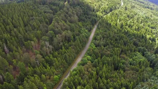 Aerial view flying over two lane forest road with car moving green trees of woods growing both sides. Car driving along forest road. aerial:car driving through pine forest.Germany black forest aerial — Stock Video