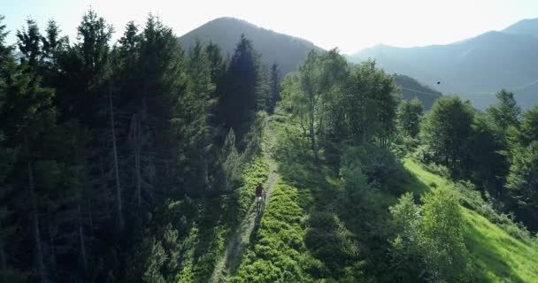 Велосипедисти катаються на гірському велосипеді вздовж лісової стежки з повітряним видом в літній сонячний день. Пересічний велосипедист. Повітряний мотоцикл MTB їде на колійній трасі. Верхова їзда на гірському електронному велосипеді по стежці на горах — стокове відео
