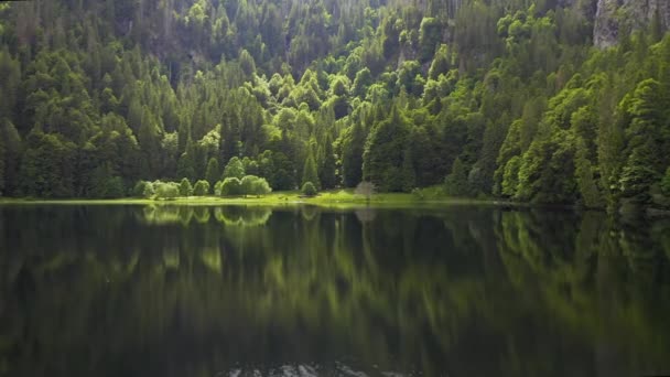 Antenn på fjällsjö och gröna skogsträd. Skogs reflektion i vattnet. Vackert luft landskap med sjö och skog. Drone sköt över en vacker fjäll skogssjö. Magisk atmosfär — Stockvideo