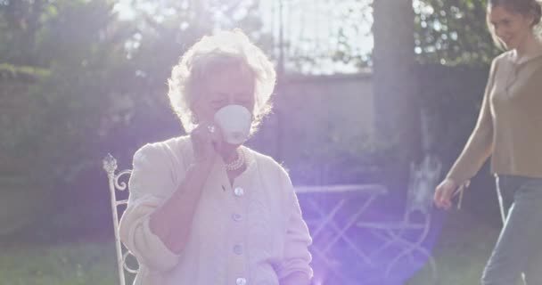 Nieta de visita, feliz abrazo abuela en el jardín exterior, sol de contraluz. A las mujeres de varias generaciones les encanta mantenerse juntas.Pelo blanco anciana abuela mujer.Afecto, unión, cuidado, amor — Vídeo de stock