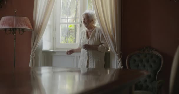 Mujeres multigeneracionales hablando juntas. Abuela anciana sonriendo con su nieta visitando cerca de la ventana bebiendo té o café.Abuela anciana de pelo blanco en casa.4k cámara lenta — Vídeos de Stock