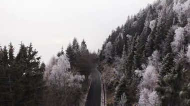 beyaz karlı ağaçlar anten yakınında sürüş araba ile kavisli yol. Kış drone uçuş kurulan buz don kaplı ağaçlar ile sisli dağ ormanı.