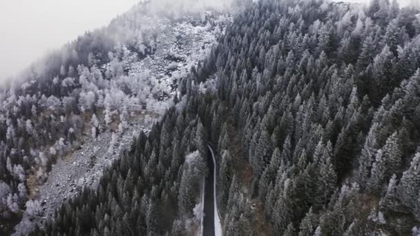 Fehér havas fák hegyi emelkedik felhős légi. Ködös Mount Forest jégfagyal borított fák téli drone repülés Rendelőnkben. — Stock videók