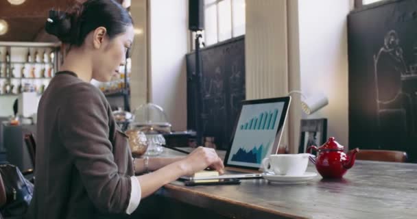 Mulher usando laptop com xícara de chá. Voltar view.Casual vestido asiático chinês, mulheres caucasianas trabalhando negócios ou estudando no café pub, restaurante lounge ou cafeteria. Moderno, co-working, diversidade, multiétnico — Vídeo de Stock